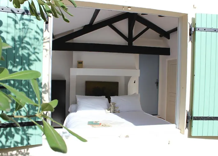 Kumquats Pensionat Béziers